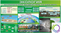 Стенд "Экология. Антропогенное воздействие на биосферу" - «globural.ru» - Балашиха