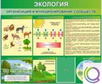 Стенд "Экология. Организация и функционирование сообществ" - «globural.ru» - Балашиха