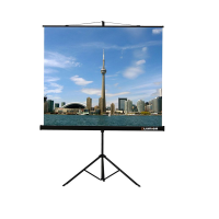 Проекционный экран на штативе Lumien Eco View (LEV-100105) 160x160 см - «globural.ru» - Балашиха