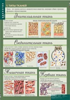 Биология 8-9 класс. Человек. (комплект таблиц) - «globural.ru» - Балашиха