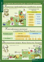 Биология 10-11 класс. Эволюционное учение (комплект таблиц) - «globural.ru» - Балашиха