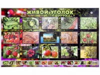 Комплект оборудования "Живой уголок" (растения) с тифлопереводом и сурдокомментариями - «globural.ru» - Балашиха