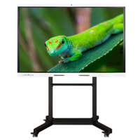 Интерактивный комплекс Geckotouch ​​​​​​​75RK - «globural.ru» - Балашиха