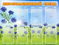 Стенд информационный с 7 карманами - «globural.ru» - Балашиха