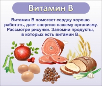 Стенд "Витамин В" - «globural.ru» - Балашиха