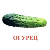 Карточки Домана "Овощи-Зелень-1" - «globural.ru» - Балашиха