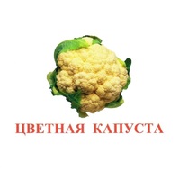 Карточки Домана "Овощи-Зелень-2" - «globural.ru» - Балашиха