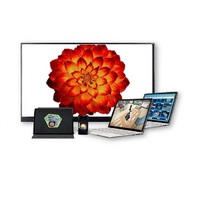 Интерактивное наглядное 3D пособие «Познание: Цветоводство» - «globural.ru» - Балашиха