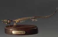 Модель скелета мозазавра Mosasaurus - «globural.ru» - Балашиха