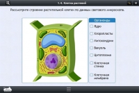 Интерактивные курсы. Биология 9 класс. Расширенный - «globural.ru» - Балашиха