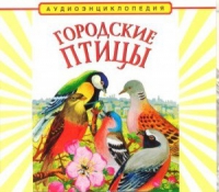 CD "Аудиоэнциклопедия. Городские птицы" - «globural.ru» - Балашиха