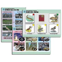 Комплект таблиц для  начальной школы "Окружающий мир. Экология" - «globural.ru» - Балашиха