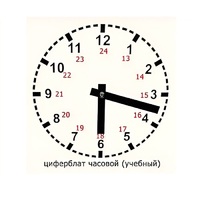 Часовой циферблат раздаточный - «globural.ru» - Балашиха
