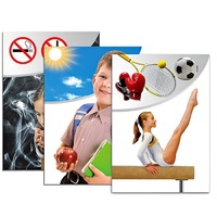 Модель-аппликация "Здоровье человека" - «globural.ru» - Балашиха