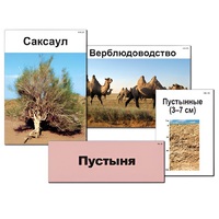 Модель-аппликация "Природные зоны России" - «globural.ru» - Балашиха