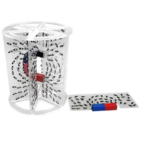 Модель для демонстрации в объеме линий магнитного поля  (вариант 1) - «globural.ru» - Балашиха