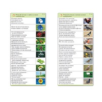 Комплект карточек (10) "Обучающий калейдоскоп. Природа" - «globural.ru» - Балашиха
