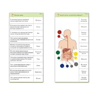 Комплект карточек (10) "Обучающий калейдоскоп. Человек" - «globural.ru» - Балашиха