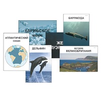 Модель-аппликация "Океаны. Знакомство" (ламинированная) - «globural.ru» - Балашиха