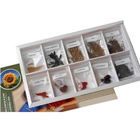 Коллекция "Плоды сельскохозяйственных растений" (вариант 2) - «globural.ru» - Балашиха