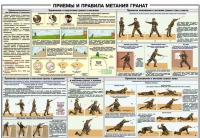 Плакат "Приемы и правила метания гранат" - «globural.ru» - Балашиха