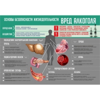 Стенд "Алкоголь" - «globural.ru» - Балашиха