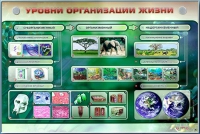 Электрифицированный стенд "Уровни организации жизни" - «globural.ru» - Балашиха