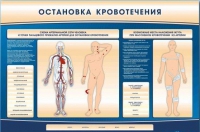 Электрифицированный стенд-тренажер "Остановка кровотечения" - «globural.ru» - Балашиха