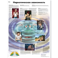 Плакат "Наркотическая зависимость", ламинированный, 50*67 см - «globural.ru» - Балашиха