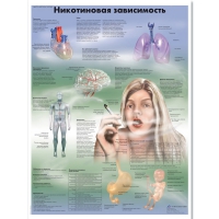 Плакат "Никотиновая зависимость", ламинированный, 50*67 см - «globural.ru» - Балашиха