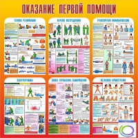 Стенд "Оказание первой помощи" - «globural.ru» - Балашиха