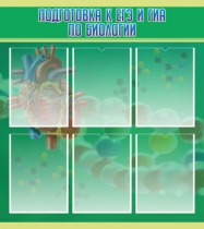 Стенд "Подготовка к ЕГЭ и ОГЭ по биологии" (вариант 1) - «globural.ru» - Балашиха