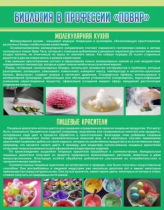 Стенд "Биология в профессии повар" - «globural.ru» - Балашиха