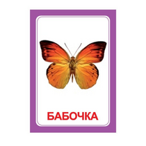 Логопедка "Ч" (логопедические карточки) - «globural.ru» - Балашиха