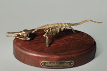 Модель скелета ихтиозавра Ichthyosaurus - «globural.ru» - Балашиха