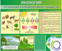 Стенд "Экология. Организация и функционирование сообществ" - «globural.ru» - Балашиха