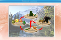 Интерактивные курсы. Биология 7 класс. Базовый - «globural.ru» - Балашиха