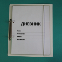 Дневник школьника (с полным набором карточек) - «globural.ru» - Балашиха