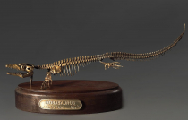 Модель скелета мозазавра Mosasaurus - «globural.ru» - Балашиха
