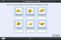 Интерактивные курсы. Биология 8 класс. Базовый  - «globural.ru» - Балашиха