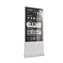 Интерактивный сенсорный киоск Nova 43" - «globural.ru» - Балашиха