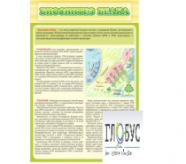 Стенд "Биосинтез белка" - «globural.ru» - Балашиха