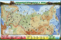 Электронно-информационный (маркерный) стенд "Природа России" - «globural.ru» - Балашиха