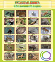 Стенд "Красная книга - млекопитающие" - «globural.ru» - Балашиха