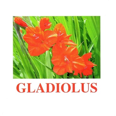 "Flowers-1" ("Цветы-1") английские карточки Домана - «globural.ru» - Балашиха