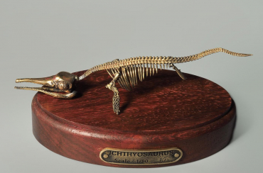 Модель скелета ихтиозавра Ichthyosaurus - «globural.ru» - Балашиха