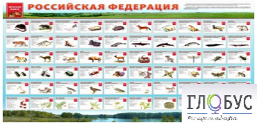 Стенд "Красная книга РФ" - «globural.ru» - Балашиха