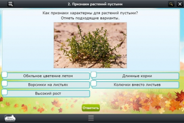 Интерактивные курсы. Окружающий мир 3 класс. Базовый - «globural.ru» - Балашиха