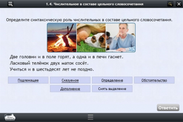 Интерактивные курсы. Русский язык 6 класс. Базовый - «globural.ru» - Балашиха