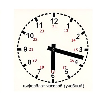 Часовой циферблат раздаточный - «globural.ru» - Балашиха
